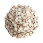 peony root