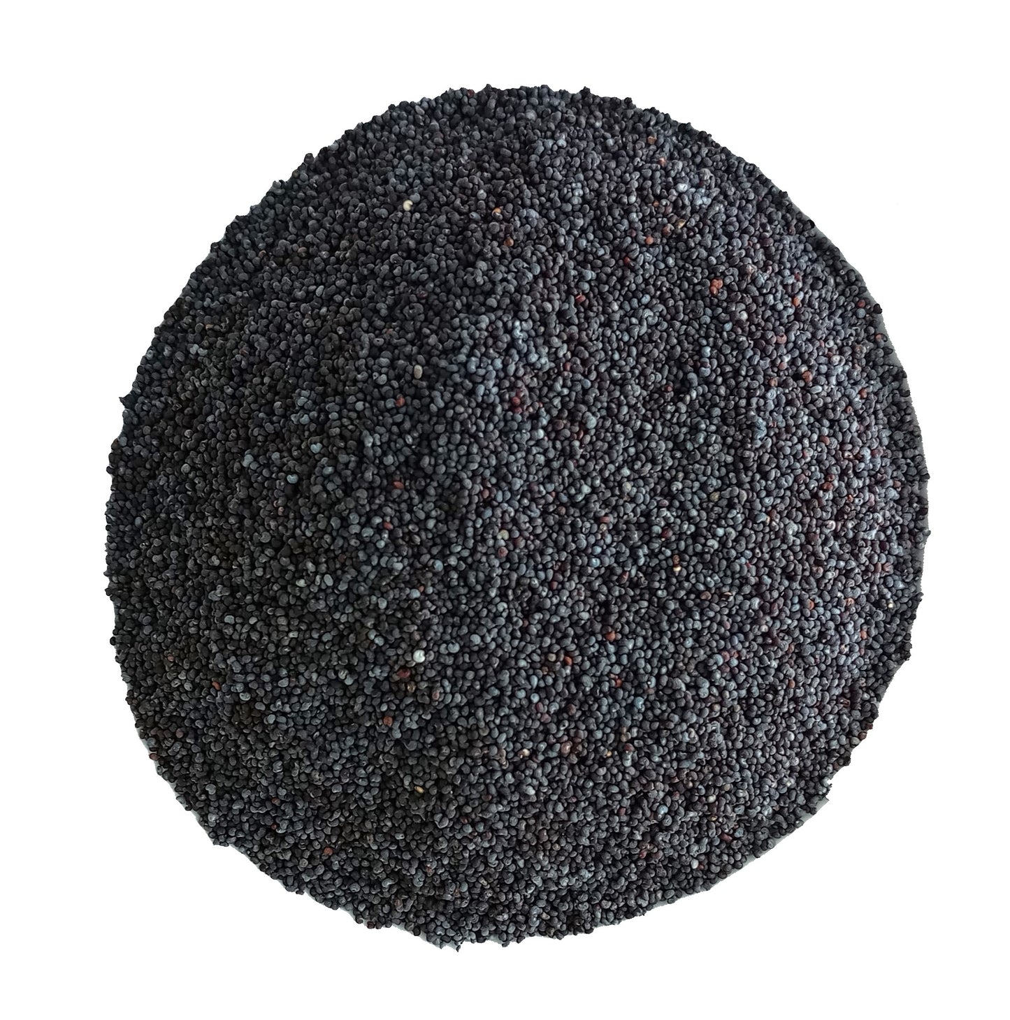 POPPY SEEDS