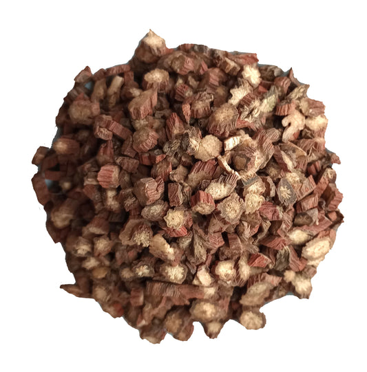 rhodiola root