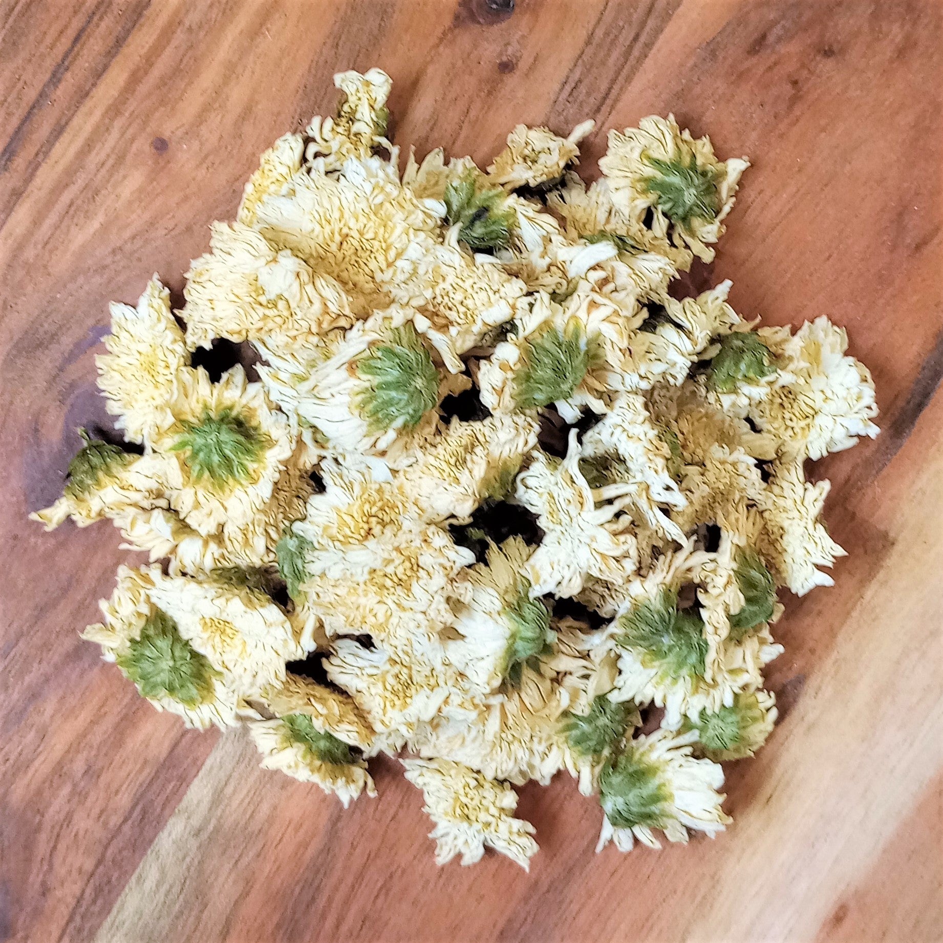 chrysanthemum flowers for tea