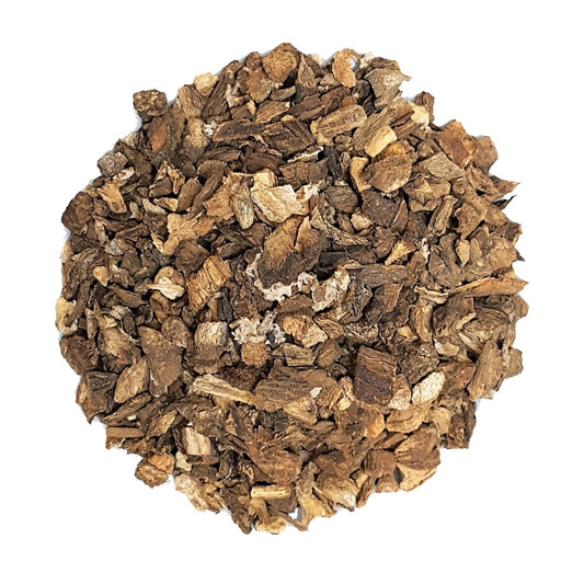 organic burdock root