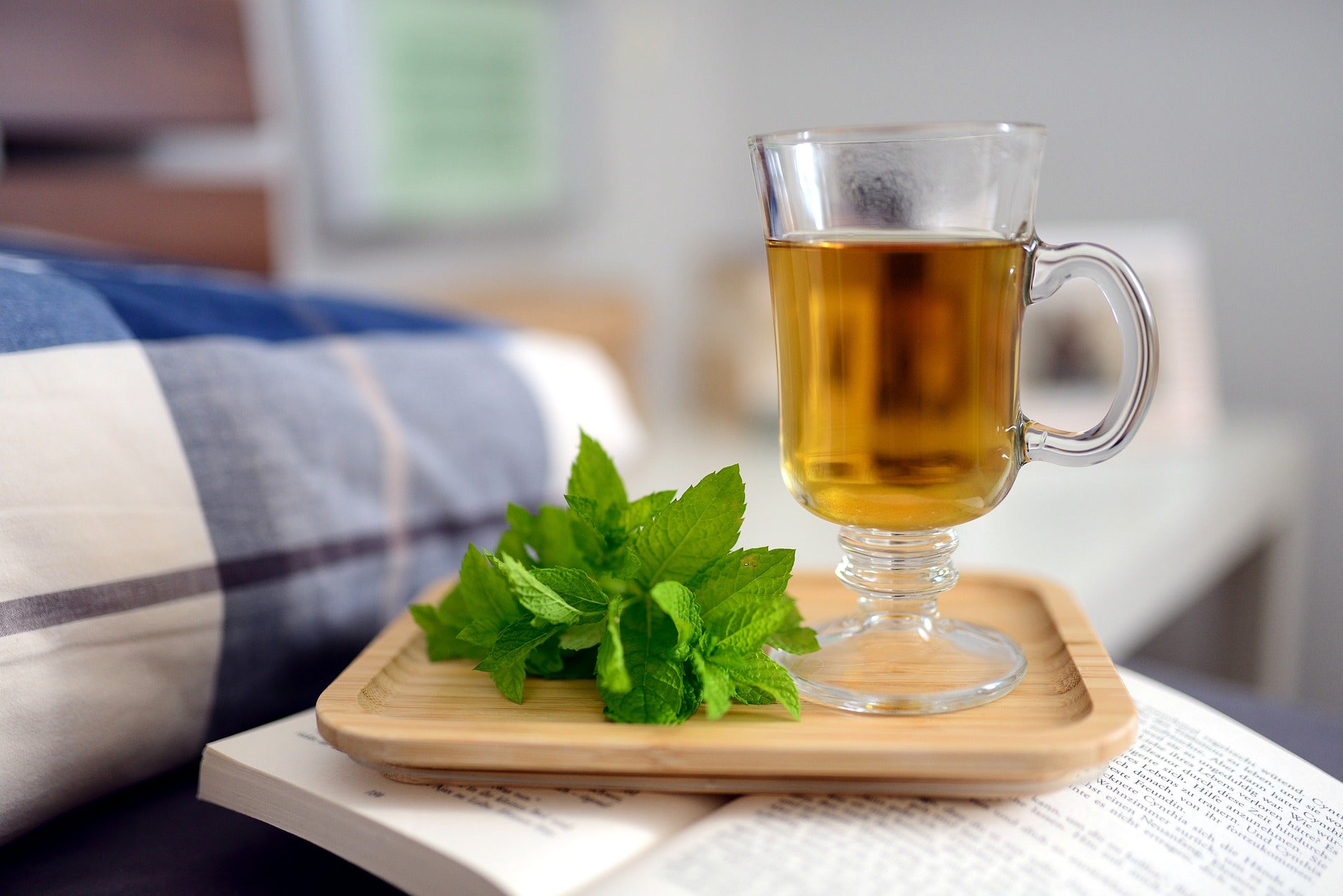 PEPPERMINT LEAF TEA