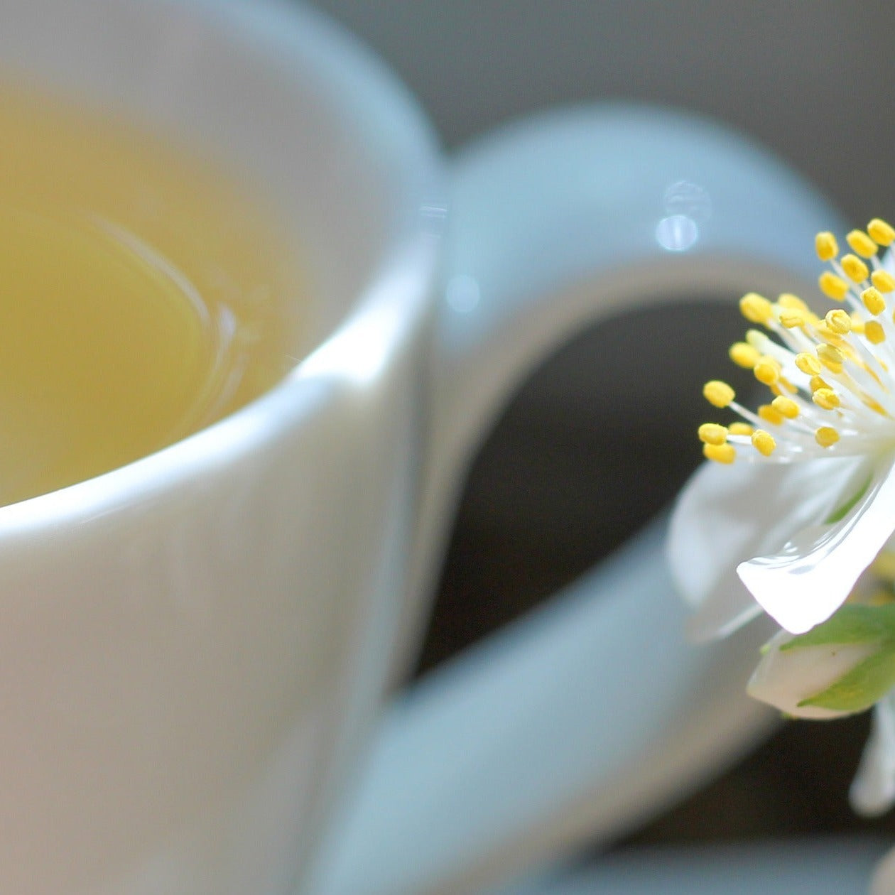 A close up partial shot of a white teacup and a fresh jasmine flower. The jasmine brew tea colour is a light yellow.