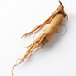korean ginseng