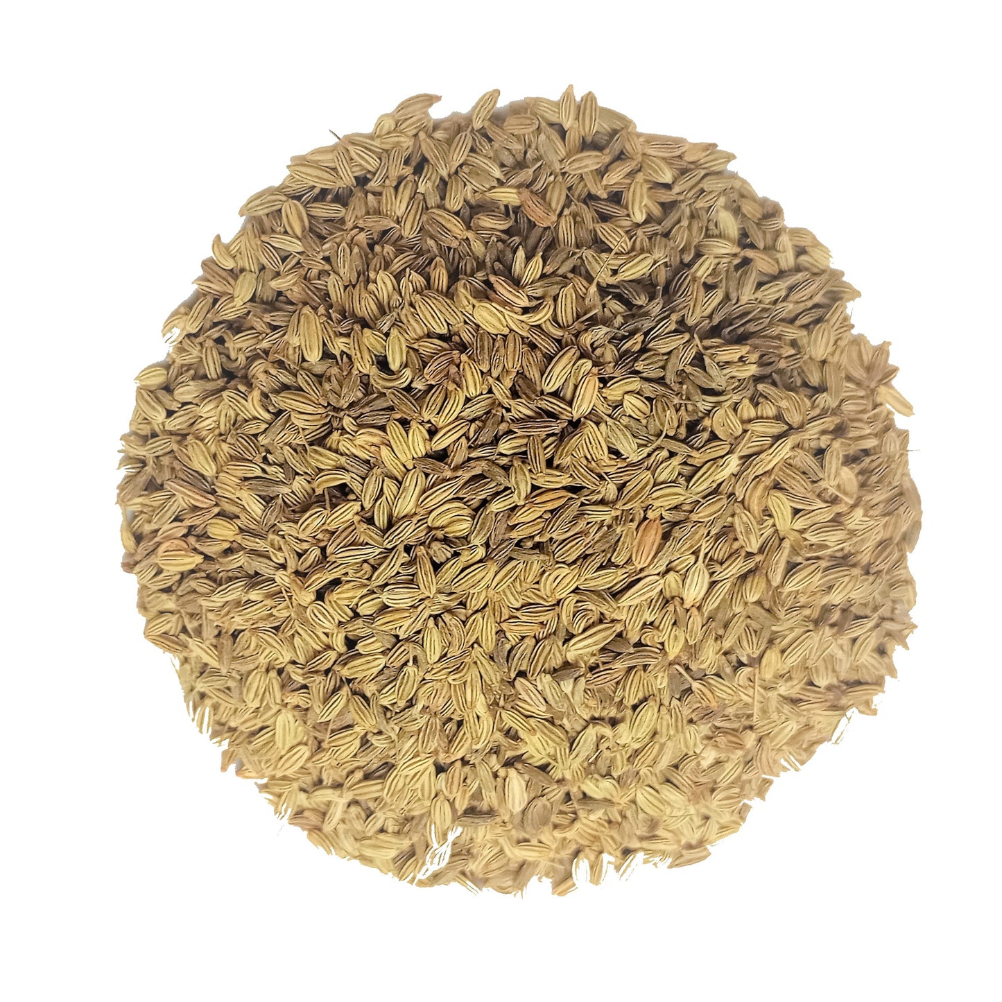 organic fennel seeds